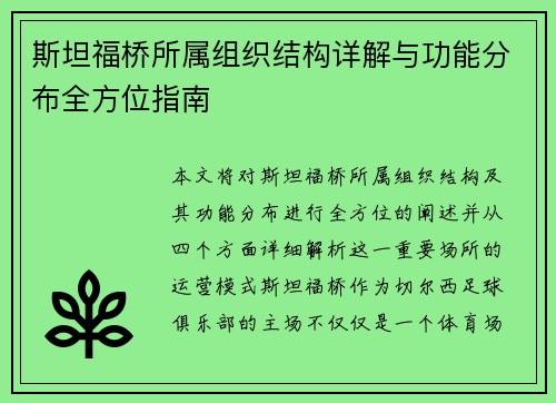 斯坦福桥所属组织结构详解与功能分布全方位指南 斯坦福桥所属组织结构详解与功能分布全方位指南