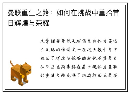 曼联重生之路：如何在挑战中重拾昔日辉煌与荣耀